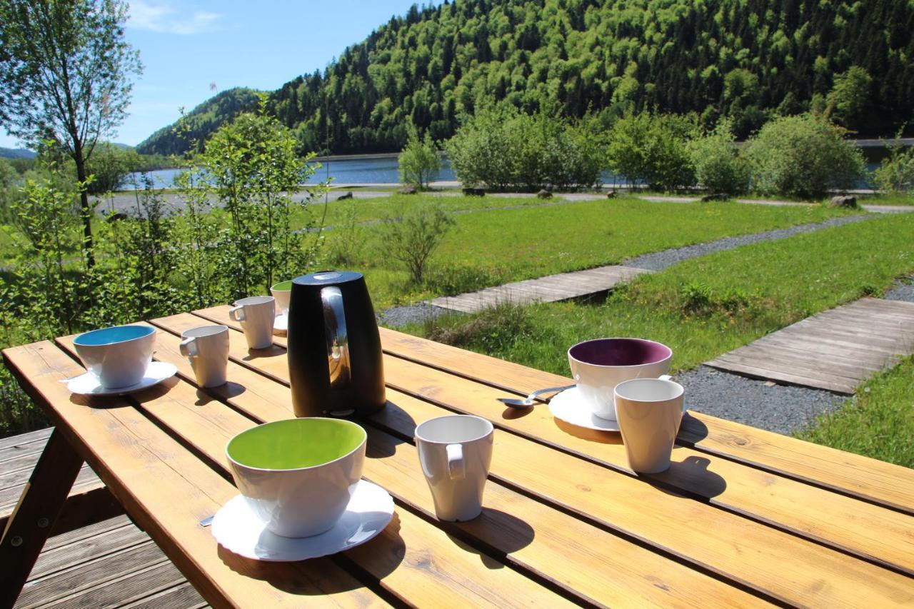 Camping Des Lacs*** Villa Celles-sur-Plaine Eksteriør billede